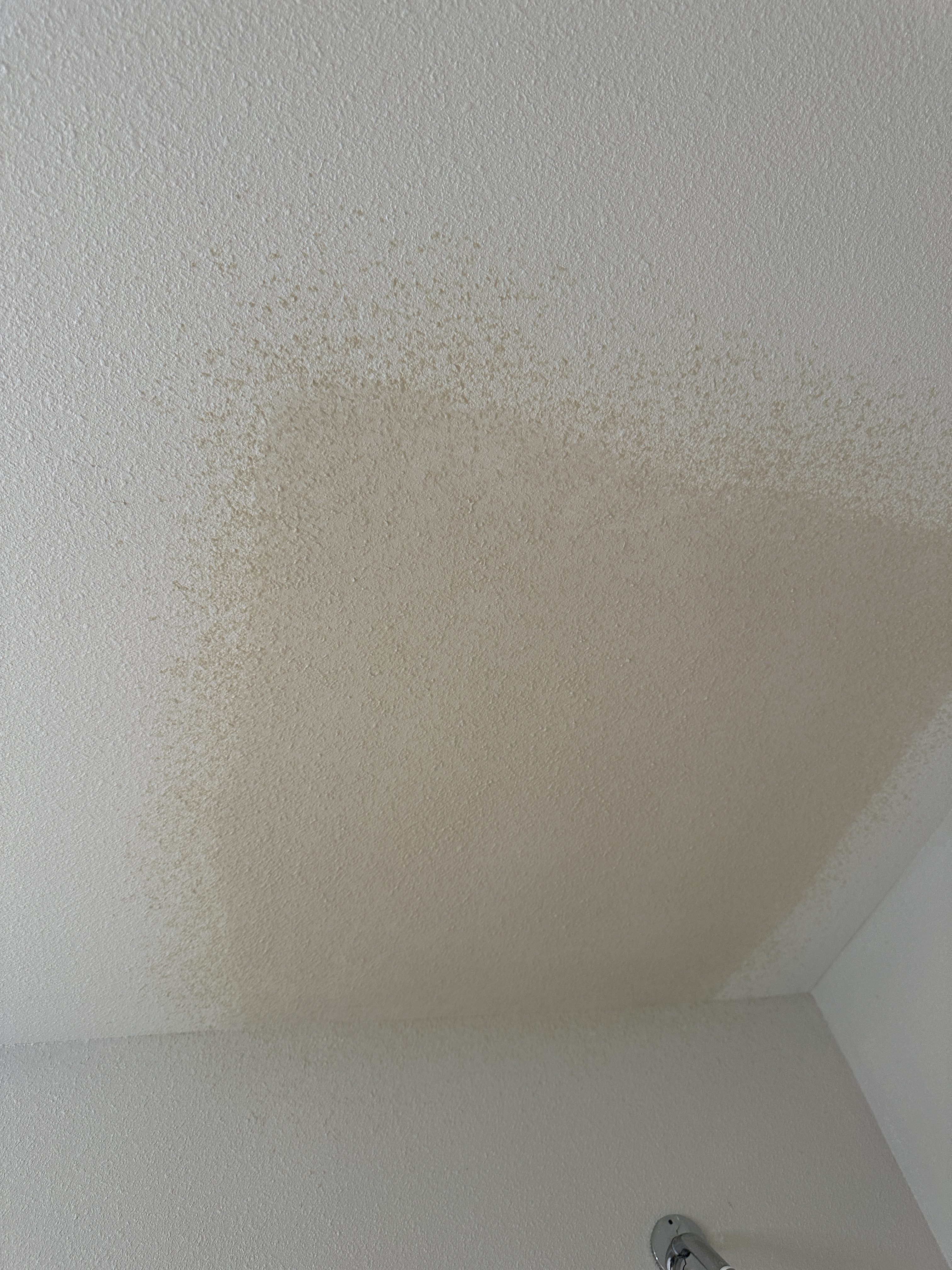 After — Finished water damage drywall repair in Bellevue WA